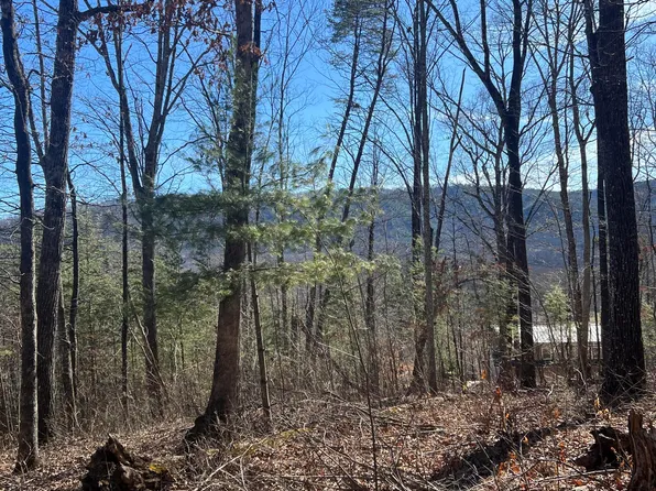 1008 Country Mountain Rd, Cosby, TN 37722