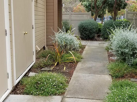 4th image of 2136 Sand Dollar Dr