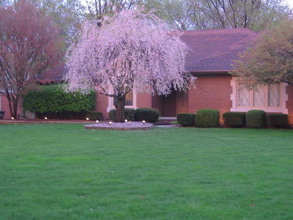 1st image of 48260 Remer Ave
