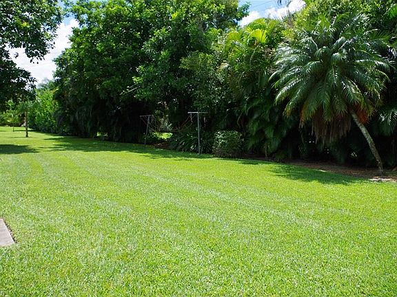 Beautiful, lush yard