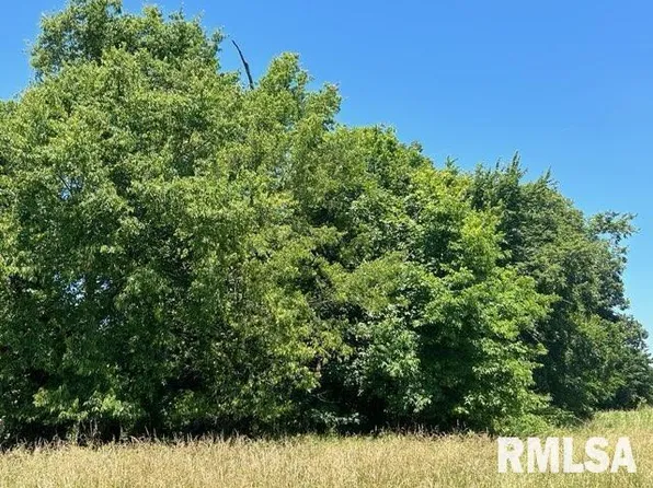 0 County Road 900 N, Mc Leansboro, IL 62859