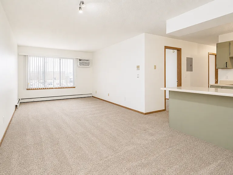 1011 5th Ave S #303 — Photo 2