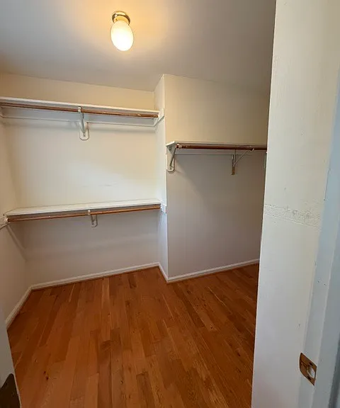 103 Palmerton Dr — Photo 10