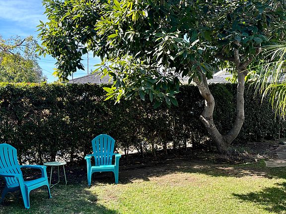 Front yard with Avocado tree, full of avocados