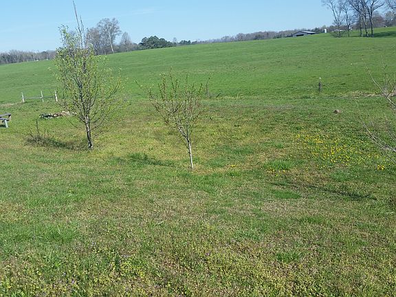 Beautiful Trees planted