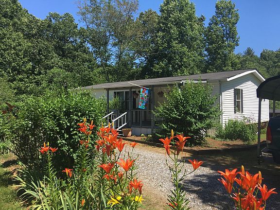 Many Flowering Plants