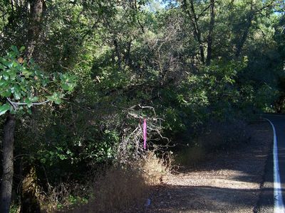 1 Forni Rd #Ac, Placerville, CA, 95667