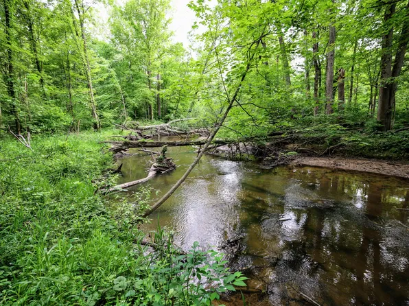 Black River Rd, Bangor, MI 49013