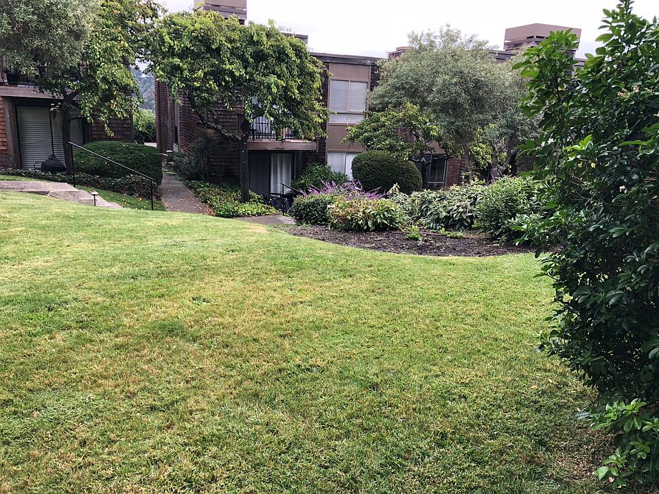 View from living room and outside patio