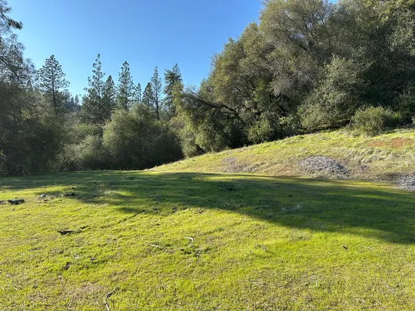 16101 Meadow Lark Ln, Sutter Creek, CA 95685