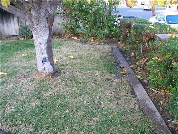 3rd image of 2395 Dover Way