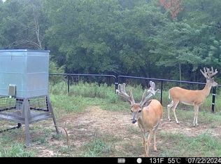 N County Road 3740, Tupelo, OK 74572