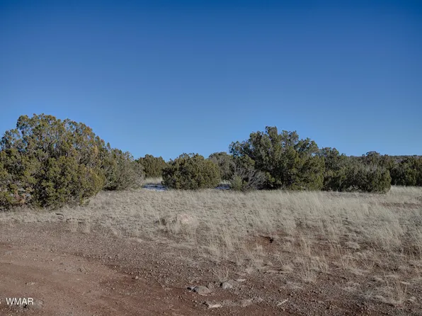 2457 Bourdon Ranch Rd, Show Low, AZ 85901