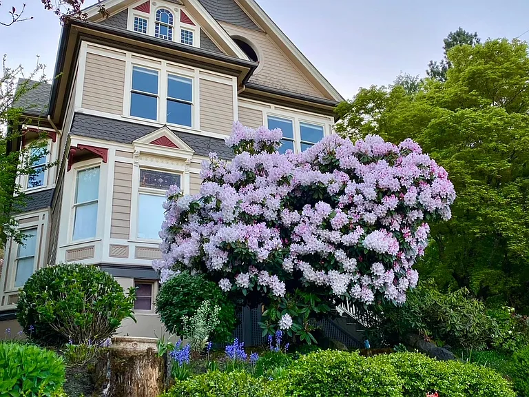 1st floor in a gorgeous Victorian Triplex