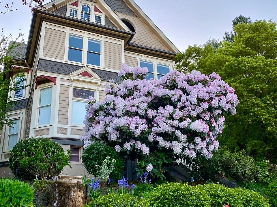 1st floor in a gorgeous Victorian Triplex