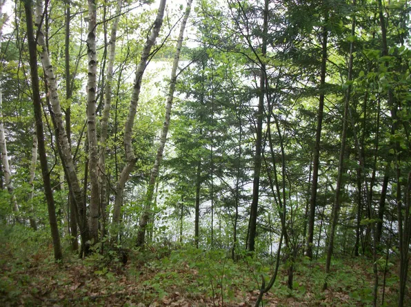 Swamsauger Heights Rd, Tripoli, WI 54564