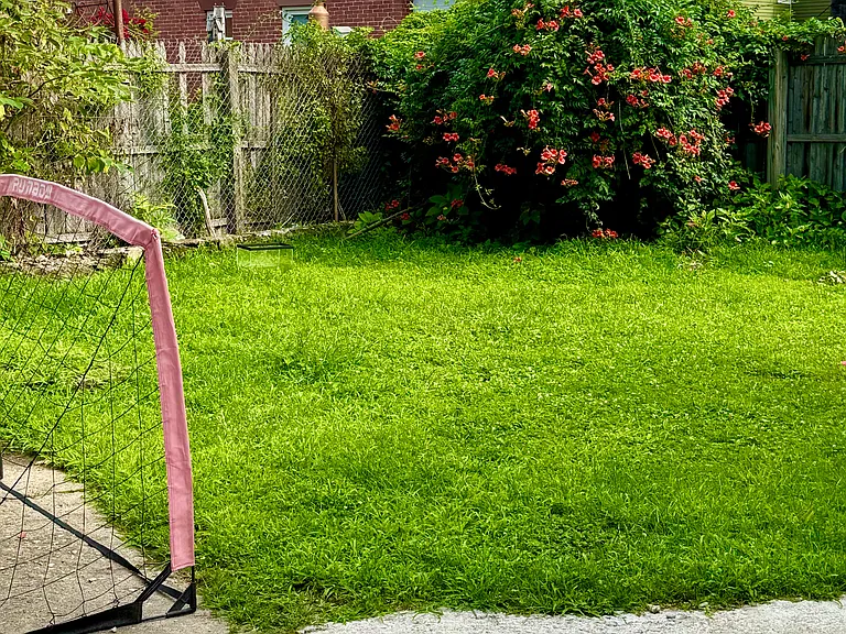 Back yard