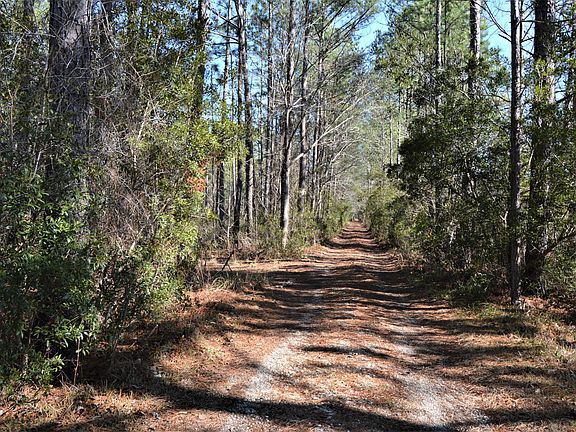 4th image of Lot 32,33 E Bear Branch Drive LOT 32,33