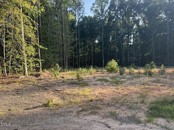 3rd image of 206 Rev Lewis Way Lot 9