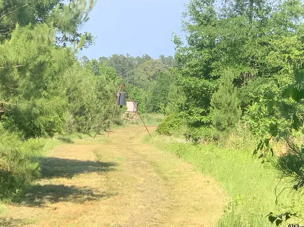 445 County Road 1101, Rusk, TX 75785