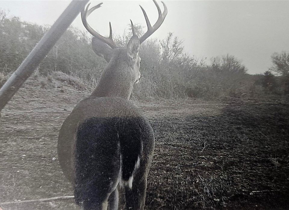 1st image of 2346 Frontier Rd #1