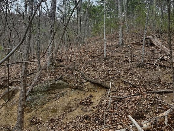 3rd image of 5 Rising Fawn Way Lot 5