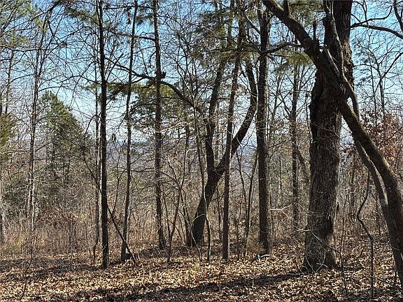 4th image of Oakland Rd