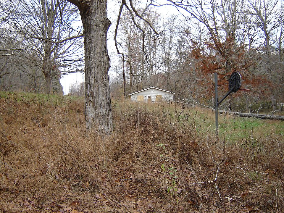 looking north from creek