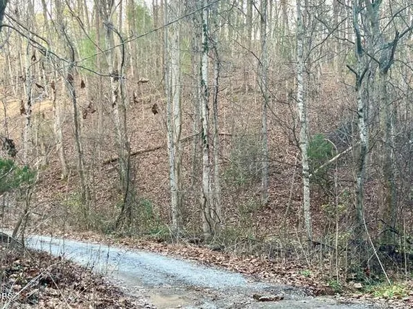 Spotted Fawn Way, Sevierville, TN 37876