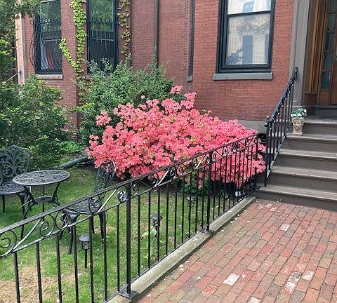 431 beacon #1 Boston - Back Bay Shared Unit Photo 1