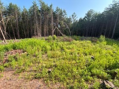 0 Felix Rd, Nathalie, VA, 24577