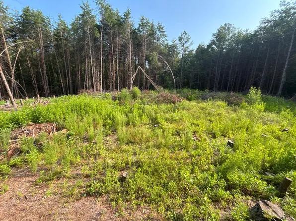 0 Felix Rd, Nathalie, VA 24577