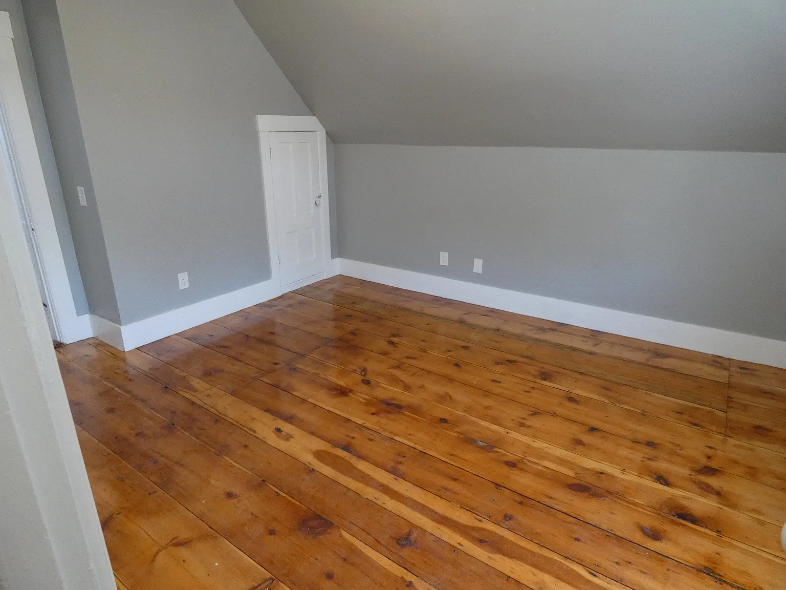 1 bed, 650 sqft, $1,300 — Photo 4