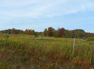 6497 E Ava Rd, Ava, NY 13303