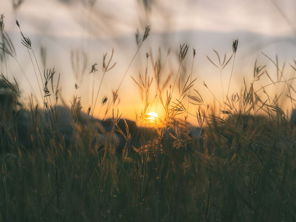 Dows Hills by Landmark Fine Homes in Washington OK Zillow