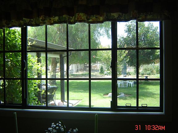 Rear yard from din room