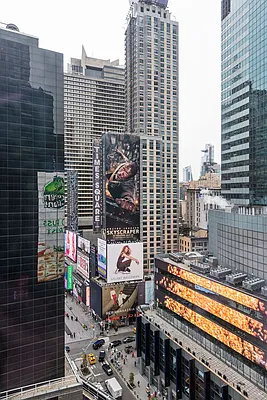 Sold by Nest Seekers International | media 18