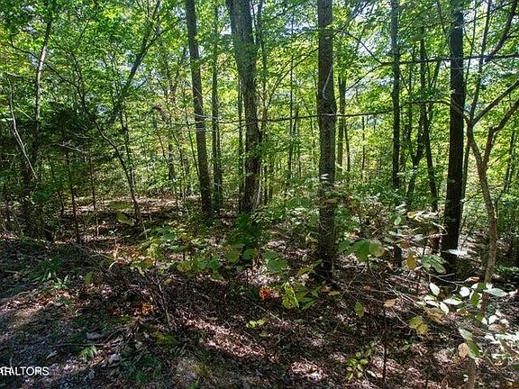 3rd image of 8 Hatcher Top Rd Lot 8