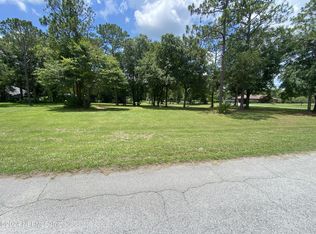 0 Cottonwood Ct, Middleburg, FL 32068
