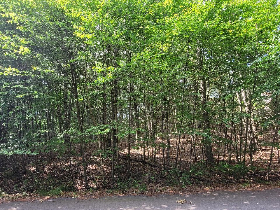 2nd image of H17 Wolf Hollow Rd