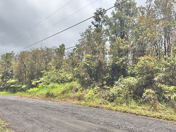 5th image of Jungle King Ave Lot 43