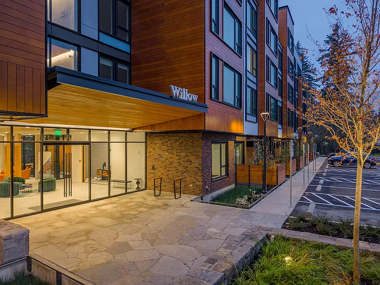 Willow — Photo 46
