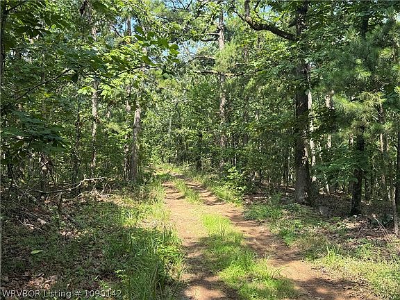 2nd image of Buffalo Mountain Rd