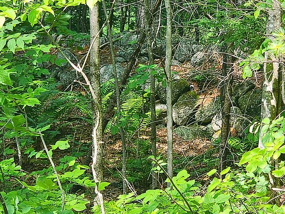 5th image of 0 Wild Haven Road