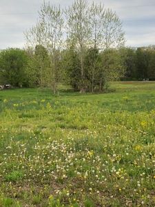1 Saylor Rd NW, Pickerington, OH, 43147