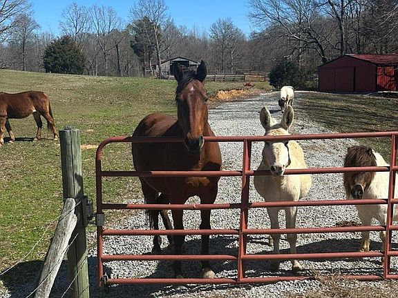 2nd image of 1486 Cedar Grove Rd