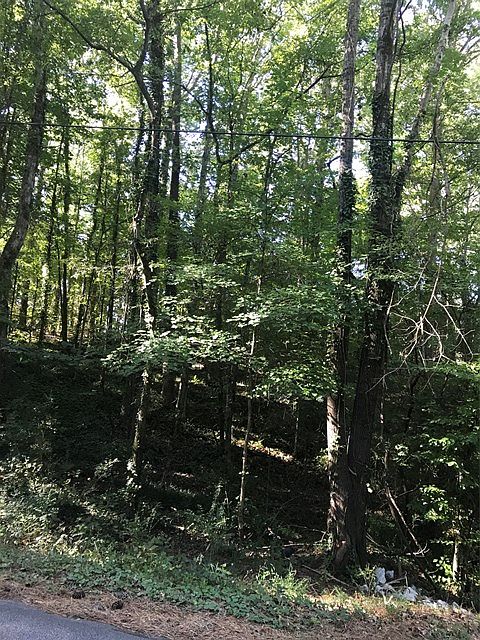 2nd image of 833 Sunset Dr