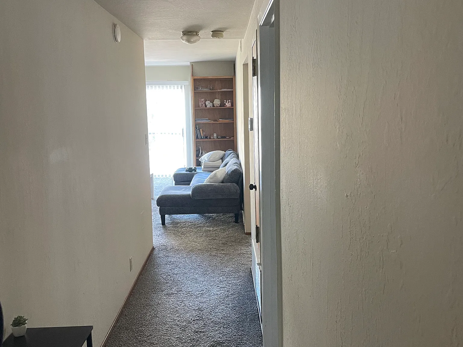 2 bed, 800 sqft, $4,200 — Photo 2