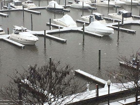 4th image of 525 Belmont Bay Dr Unit 407