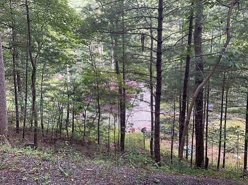 2nd image of 6241 Poor Mountain Rd